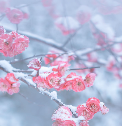 4B43582D-583B-43f4-A25C-A207B52B5A5D.png